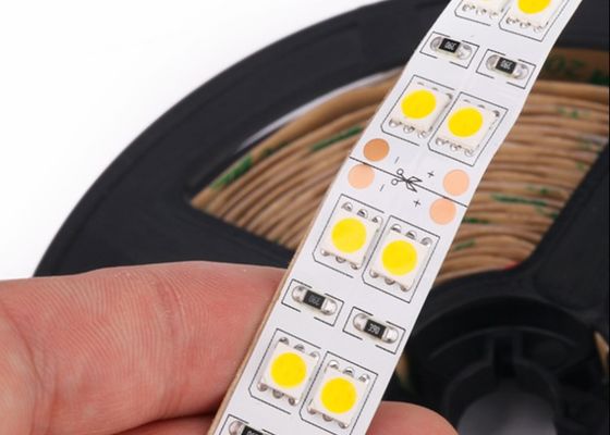 12V DC IP67 bande LED mono couleur 5050 double rangée 120LED