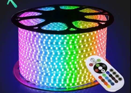 RGB 5 Mètre 5050 LED SMD Strip Light 220V 110V