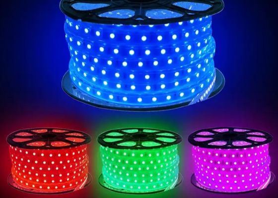 RGB 5 Mètre 5050 LED SMD Strip Light 220V 110V